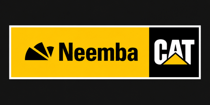 Neemba Burkina Faso